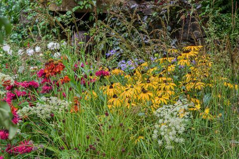 jardim do 90º aniversário dos cães-guia projetado por adam woolcott e jonathan smith patrocinado por cães-guia para a associação de cegos jardim artesanal rhs chelsea flower show 2021 estande no 566