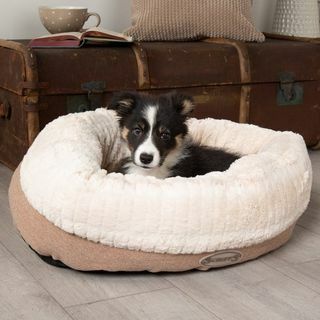 Cama para cachorro Scruffs Ellen Donut