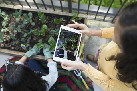 Menina de visão aérea com tablet digital fotografando mãe jardinagem