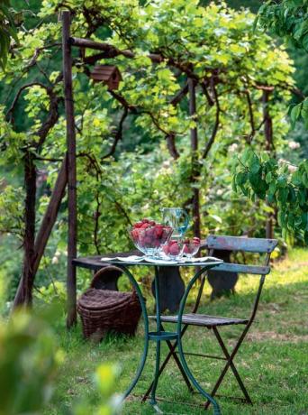 ideias de limites de jardim