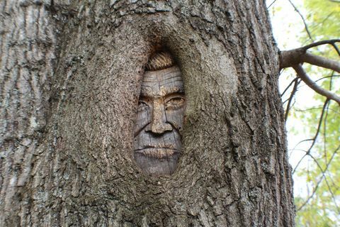 Johnny Cash Tennessee escultura em árvore em casa