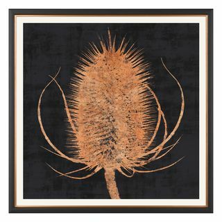 Estampa Charlotte Oakley Cobre Teasel