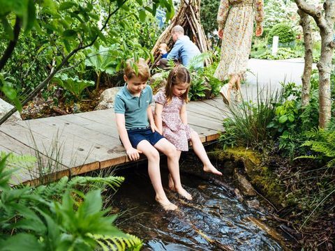 Kate Middleton faz uma excursão privada ao Príncipe George, Princesa Charlotte e Prince Louise pelo jardim Back to Nature