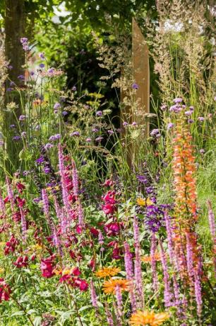 RHS Hampton Garden