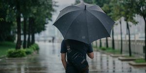 vista traseira do homem causal inteligente segurando guarda-chuva e caminhando ao longo do parque na cidade urbana chuvosa