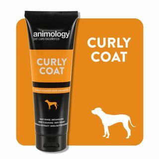 Shampoo para cães de pelagem encaracolada