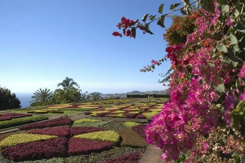 Jardim Botânico, Funchal, Madeira