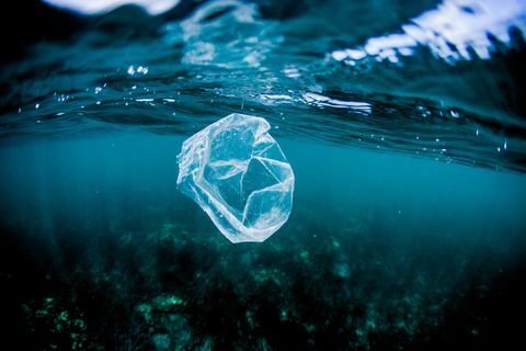 saco plástico flutuando sobre recifes no oceano, costa rica