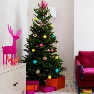 Árvore de Natal Nordmann Fir - Árvore de luxo sem queda recém-cortada (aproximadamente 6 pés) + entregue de 7 a 12 de dezembro +