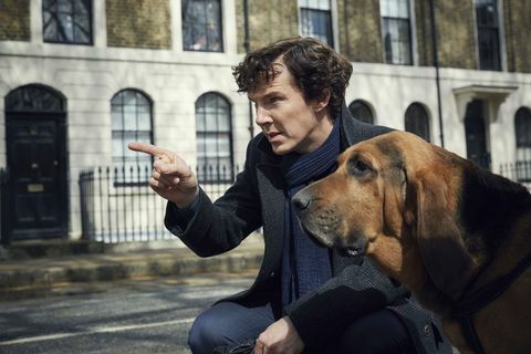 Benedict Cumberbatch como Sherlock com um cão no programa de TV da BBC