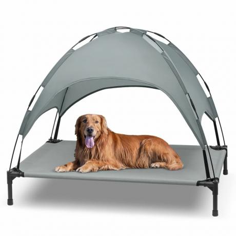 Cama para cachorro com dossel