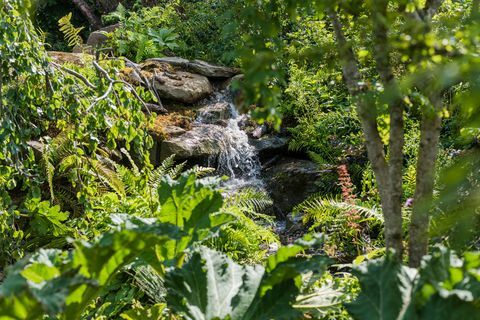 Kate Middleton Voltar para o jardim da natureza