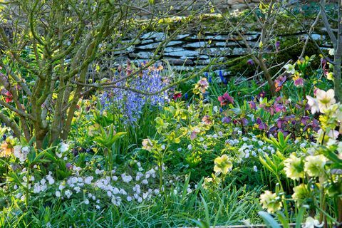 jardim primavera