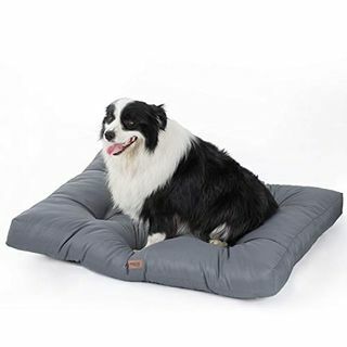 cama impermeável para cachorro amazon 