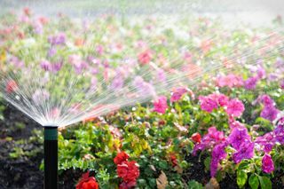 Um sistema de extinção de incêndios automático que molha uma cama de flores na luz do sol.