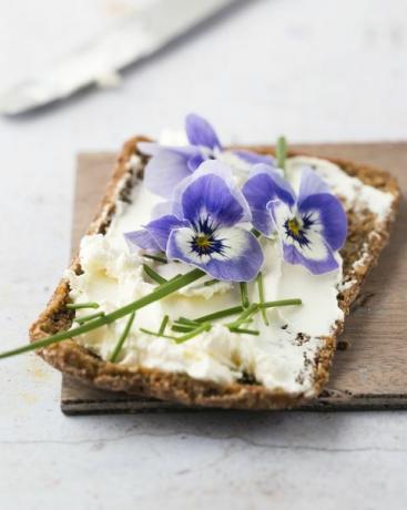 fatia de pão integral com cream cheese, cebolinha e violetas comestíveis