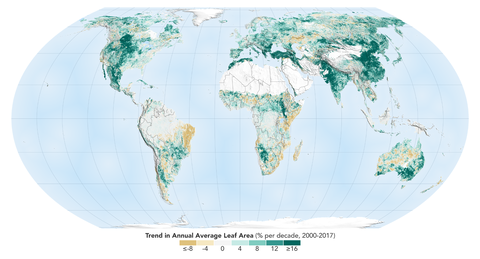 A NASA revelou que a Terra está mais verde hoje do que há 20 anos