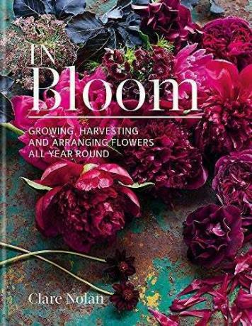 In Bloom: Cultivando, colhendo e arranjando flores o ano todo