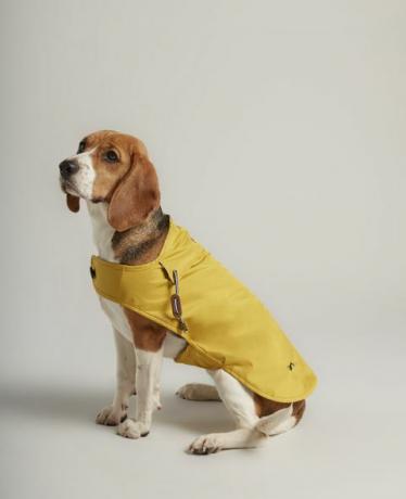 Joules casaco para cães amarelo à prova de respingos