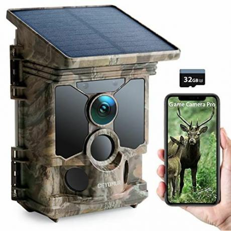 Câmera solar para vida selvagem CEYOMUR 