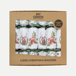 Caixa de bolachas de Natal com sementes de seis