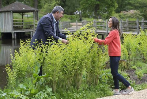 Philippa Craddock e John Anderson discutem as exibições florais do casamento em Savill Garden