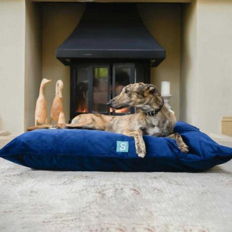 Cama de veludo cotelê para cachorro - mirtilo