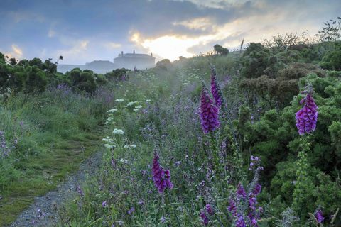 Pentire Head, Cornualha © National Trust Images John Miller