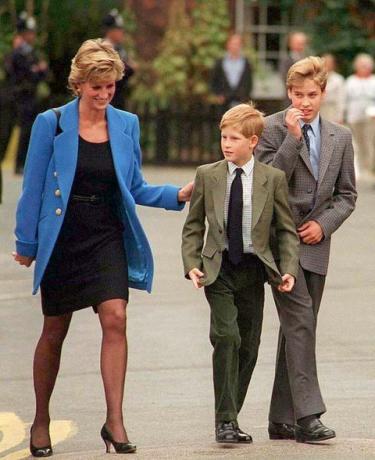 Príncipe William diz que ele e o príncipe Harry deixaram a princesa Diana de lado e não puderam protegê-la no documentário da BBC