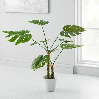 Planta Monstera em vaso falso