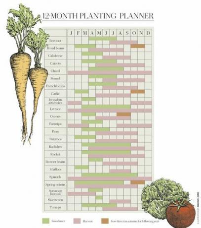 calendário de plantio de hortaliças