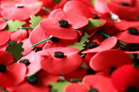 British Legion apresenta duas papoilas de edição limitada para o Remembrance Sunday 2018