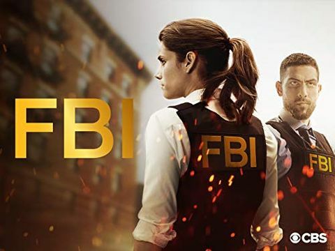 Temporada 1 do FBI