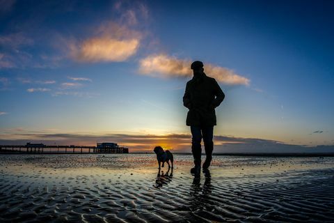 Homem andando com cachorro na praia