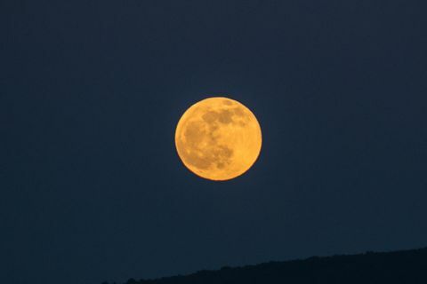 lua lobo na grécia