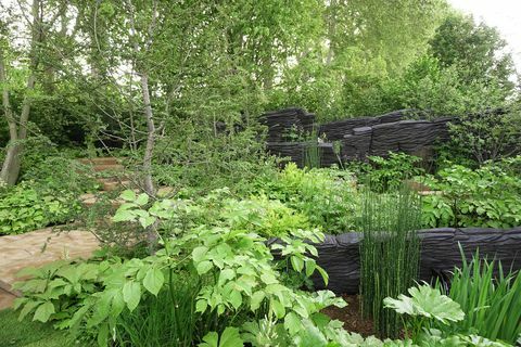 tendências de jardim do desfile de flores de chelsea