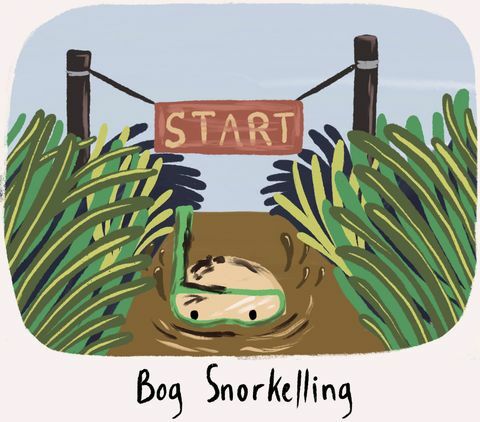 Bog Snorkelling - tradições britânicas mais estranhas - Character Cottages