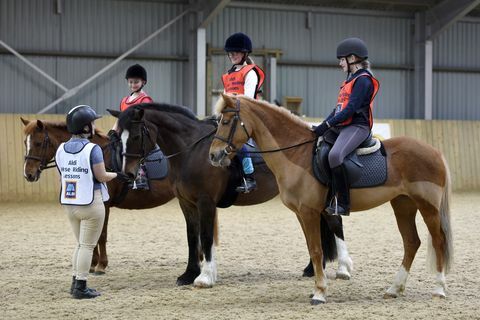 Aldi Summer Equestrian - aulas de equitação