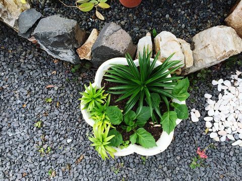 recipientes de idéias de jardim de cascalho