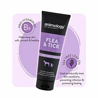 Animology Shampoo para pulgas e carrapatos para cães