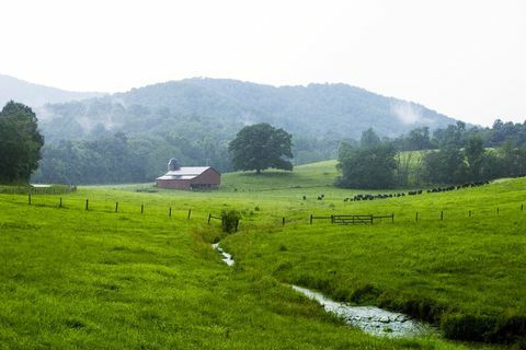 Bundoran Farm stream