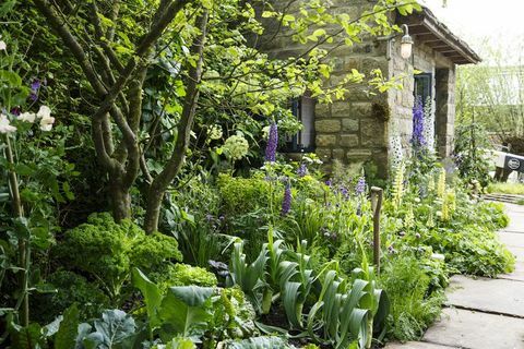 Bem-vindo ao Yorkshire Chelsea Flower Show garden 2019 Mark Gregory