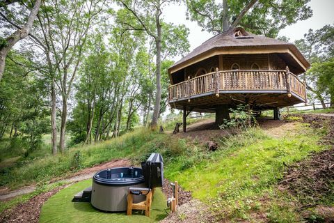 alugue esta casa na árvore em worcestershire