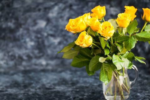 Rosas amarelas em vaso