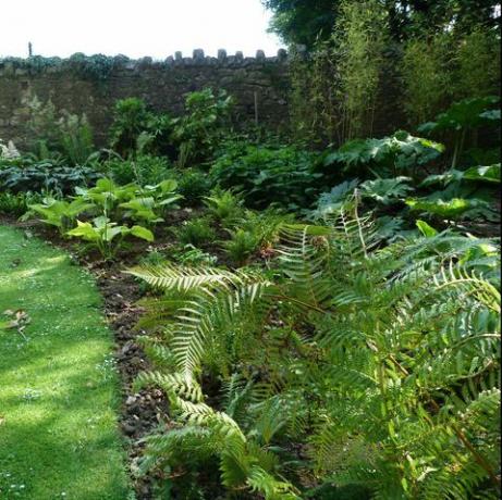 idéias e design de borda de jardim