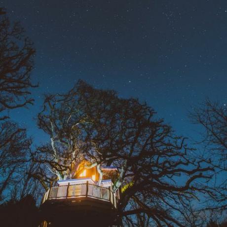 Treetops Treehouse - Devon - noite - Dossel & Estrelas