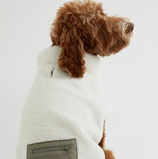 Jaqueta fake para cachorro com detalhe de bolso
