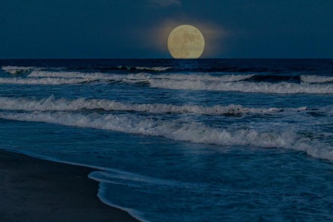 Superlua cheia nascendo sobre o oceano perto de Myrtle Beach, Carolina do Sul