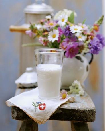 leite e flores