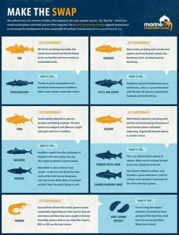 Marine Conservation Society guia de peixes